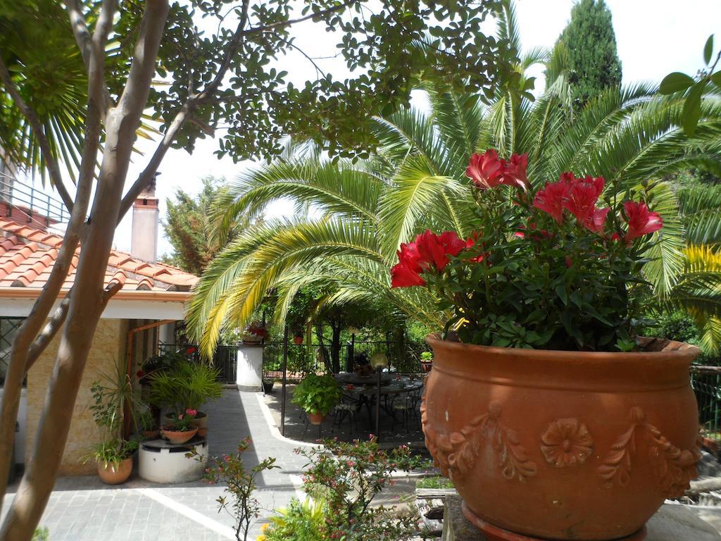 Bed And Breakfast El Dueno Palinuro Exteriör bild